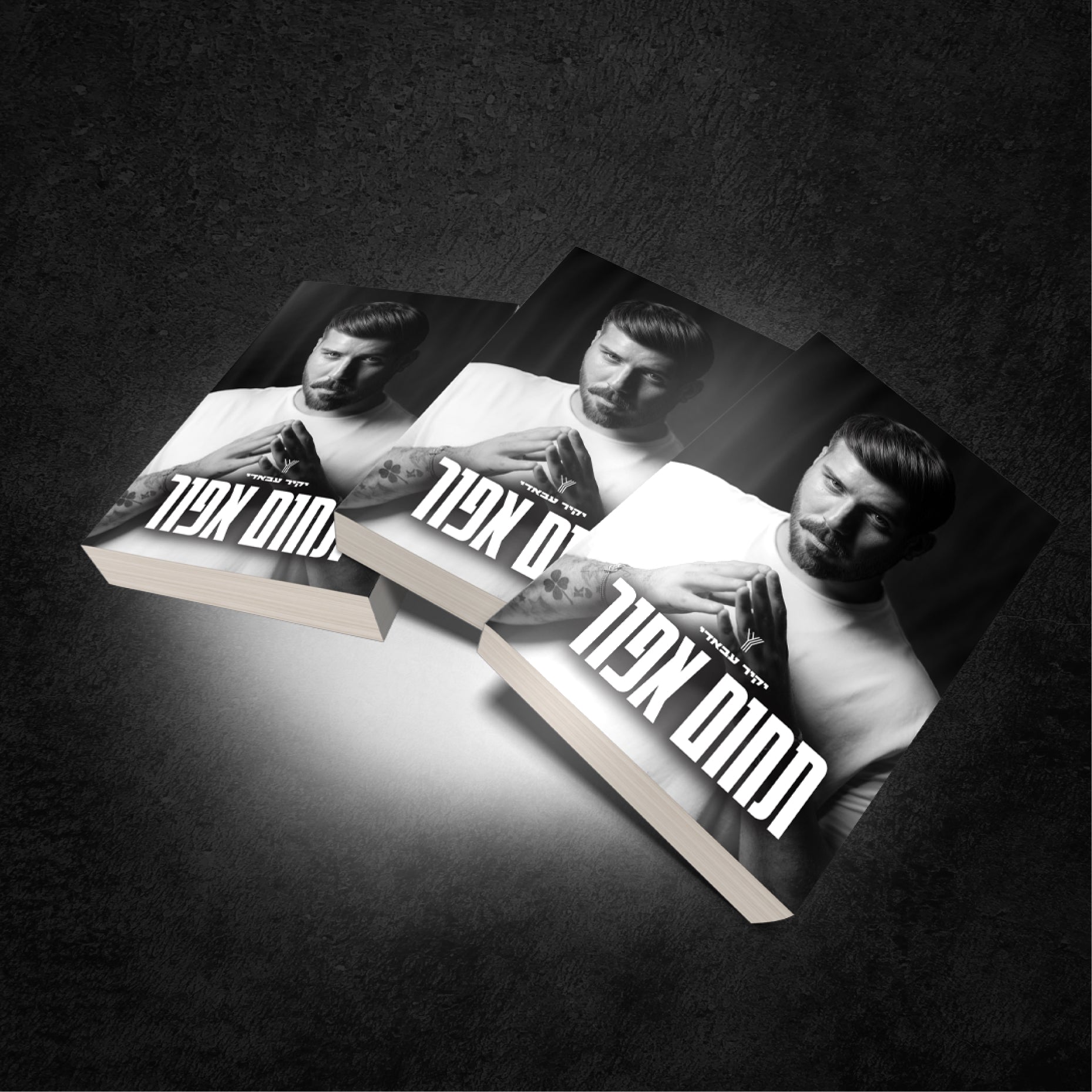 הספר - "תחום אפור"